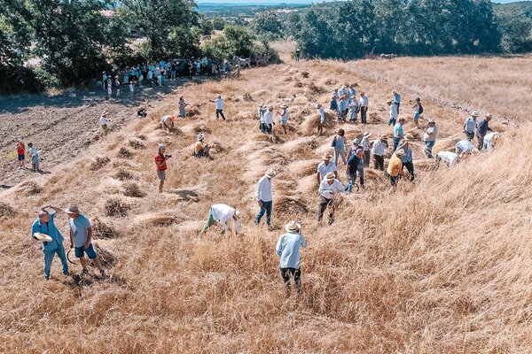 festival_lombada__5_