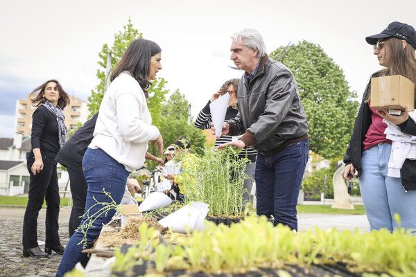 1505___plantas___0_37