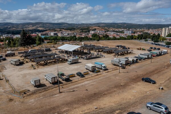 dji_0572