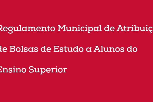 REGULAMENTO_bolsas