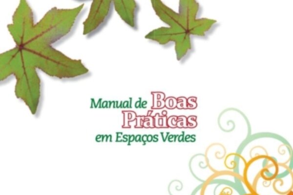 20101119100500177195