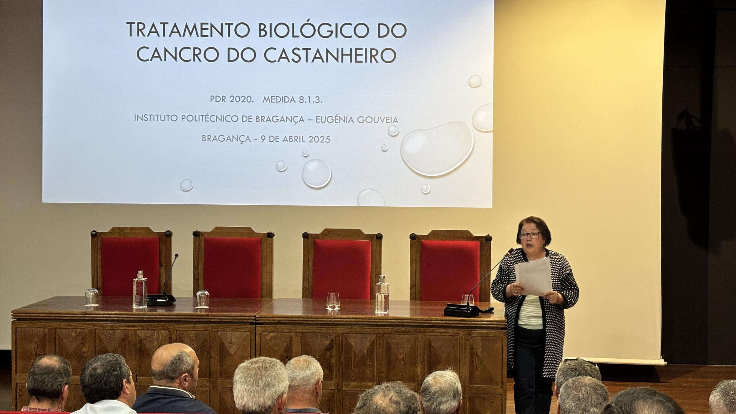 Sessao cancro castanheiro_4
