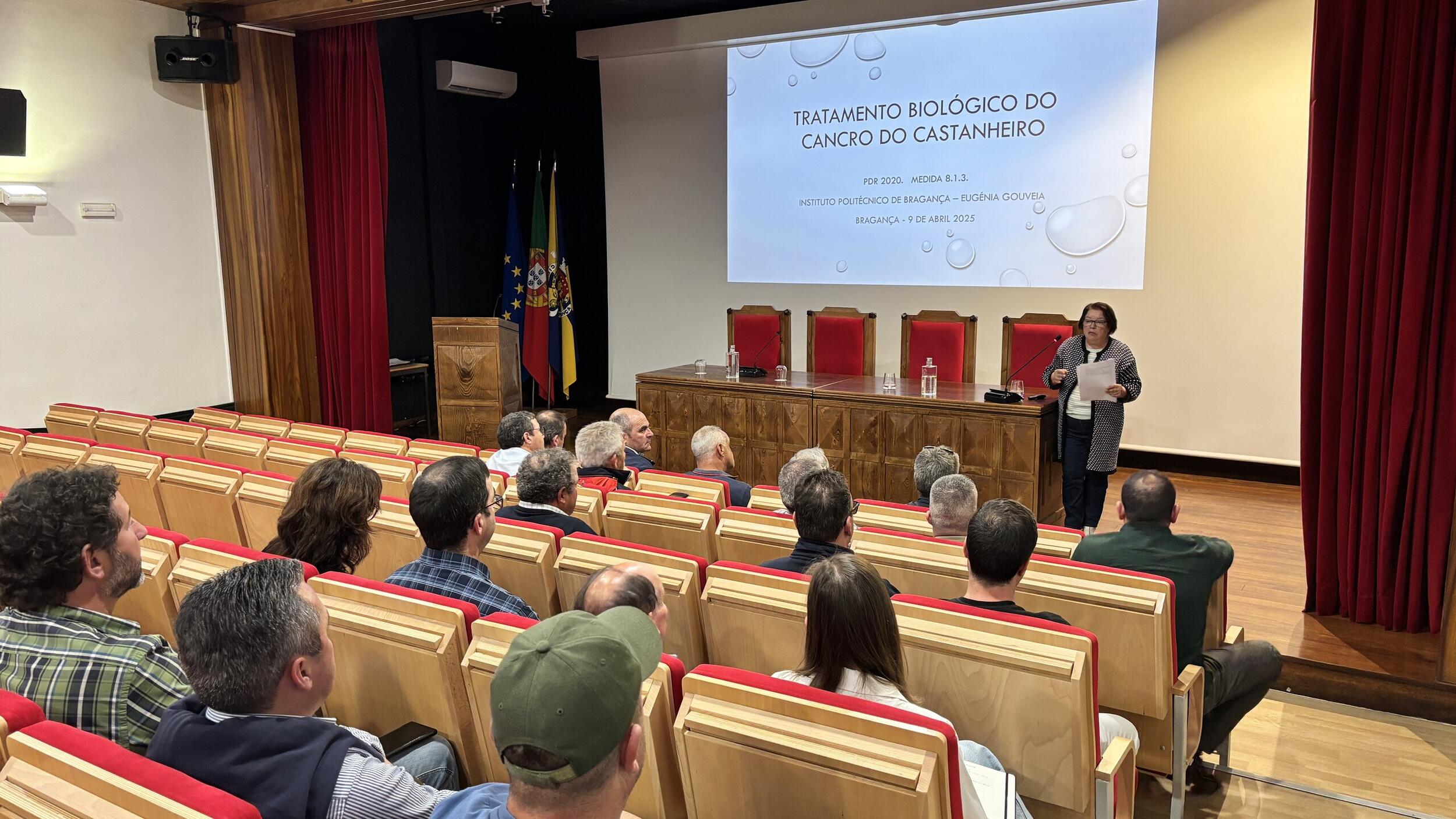 Sessao cancro castanheiro_5