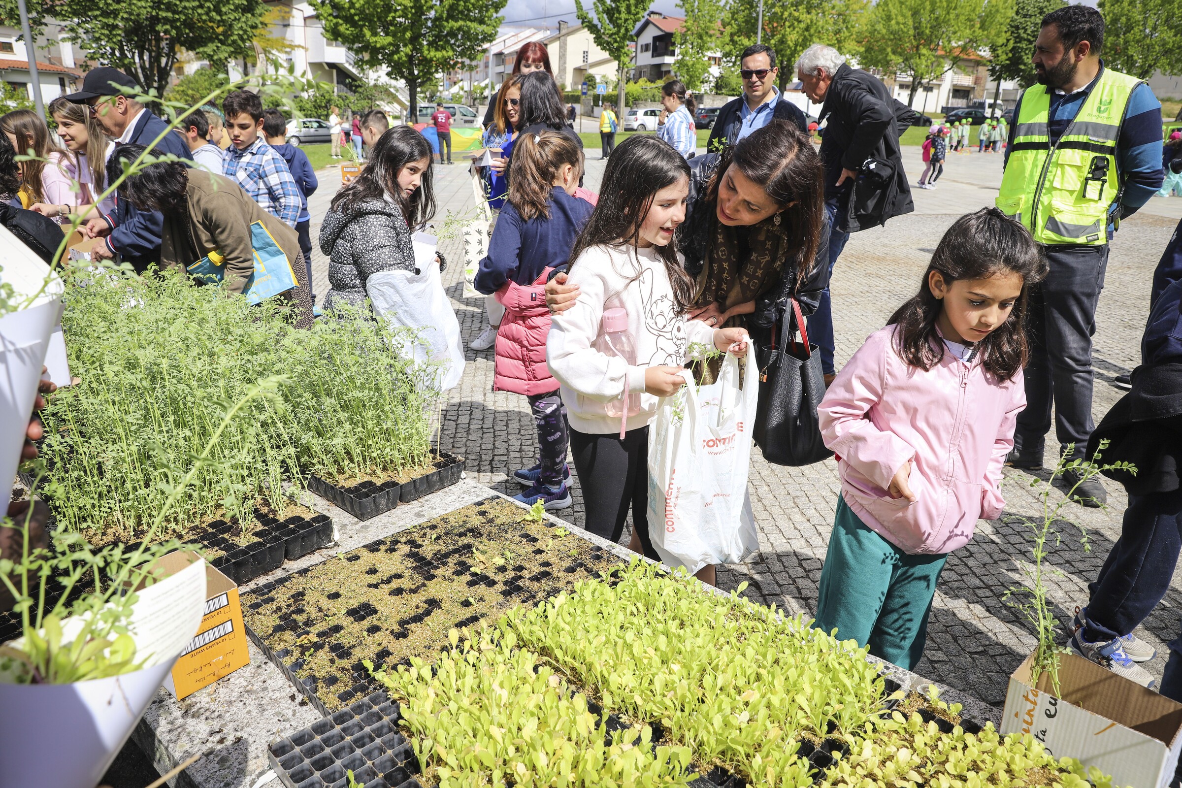 1505 - Plantas - 0-8