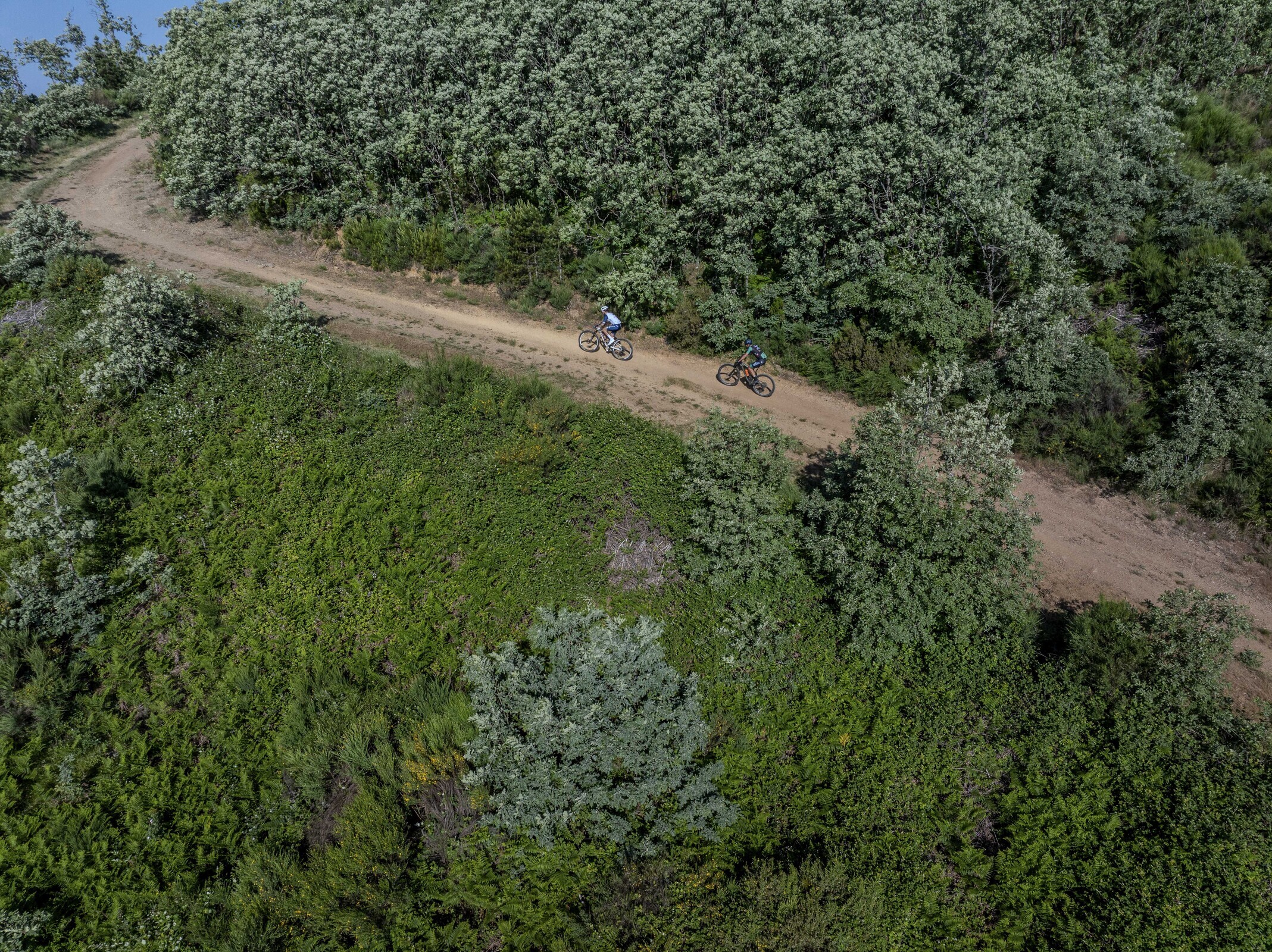 DJI_20250615085639_0025_D