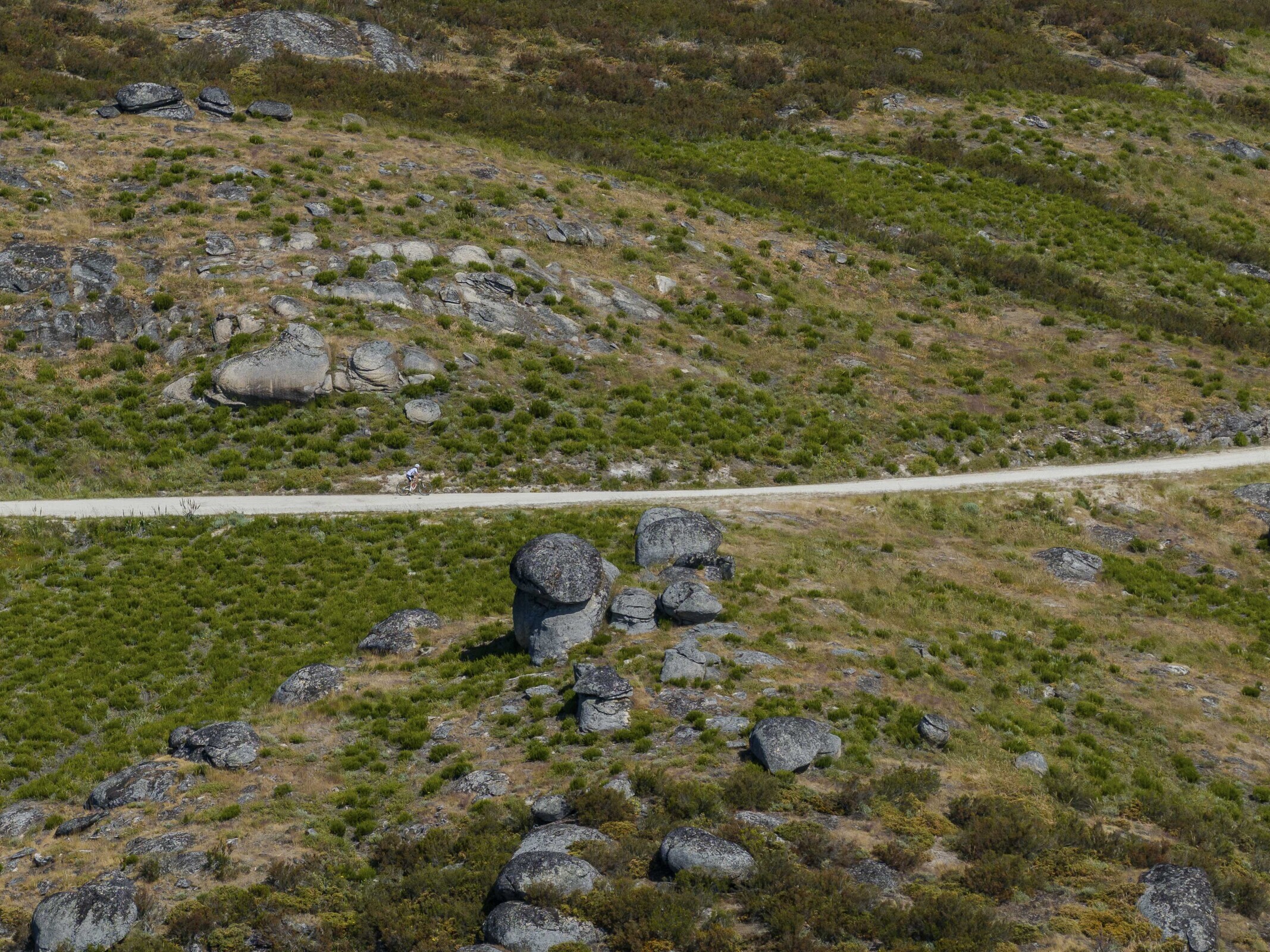 DJI_20250615104255_0049_D