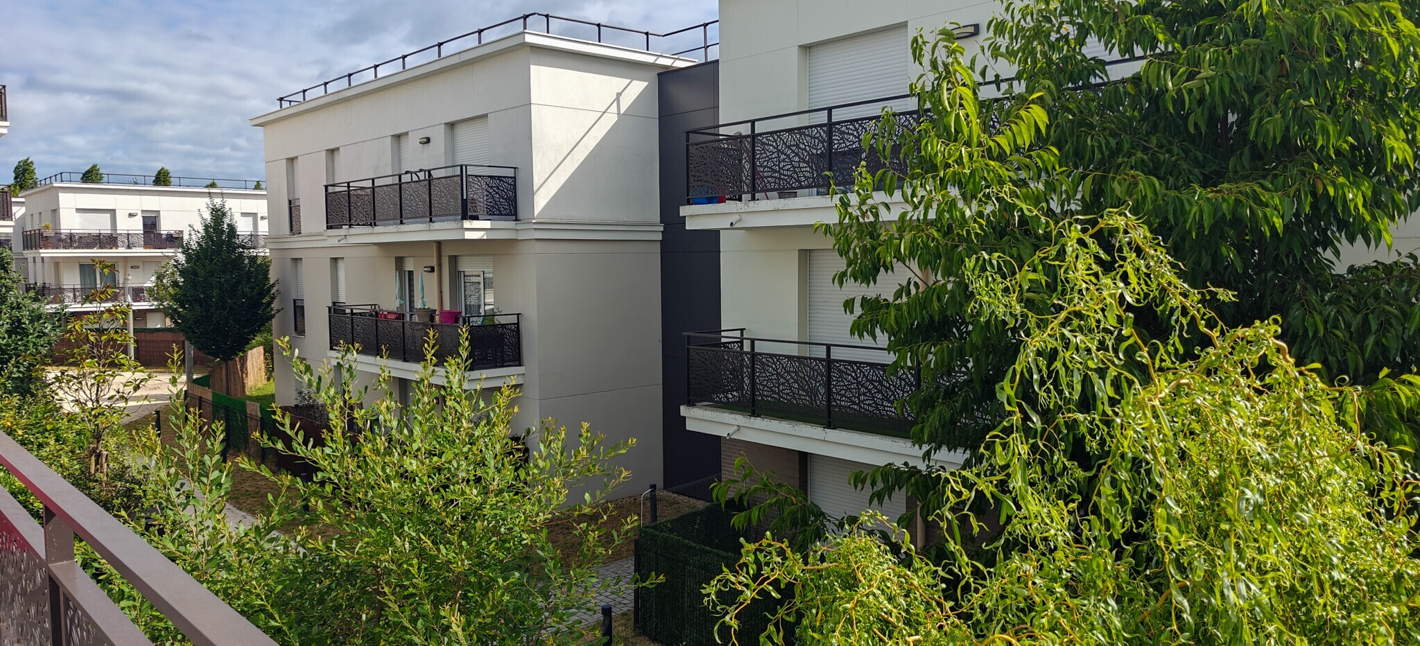 IMG20250627100253