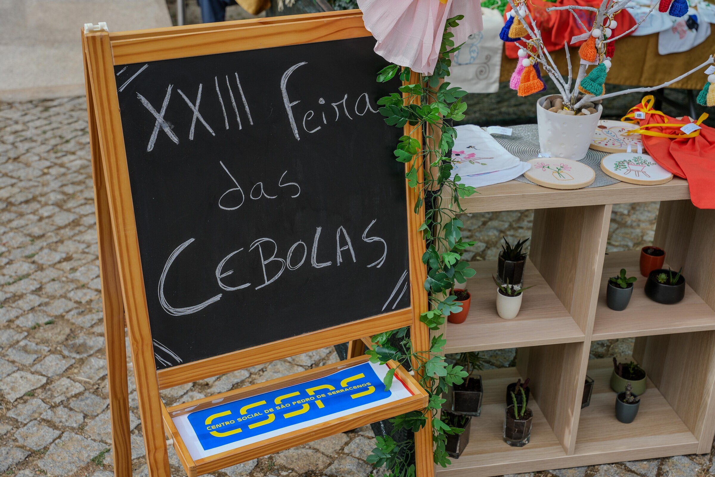cebolas_3