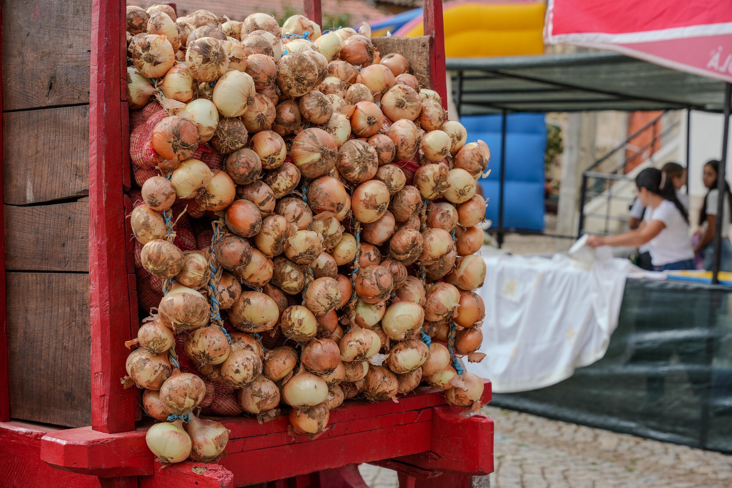 cebolas_2