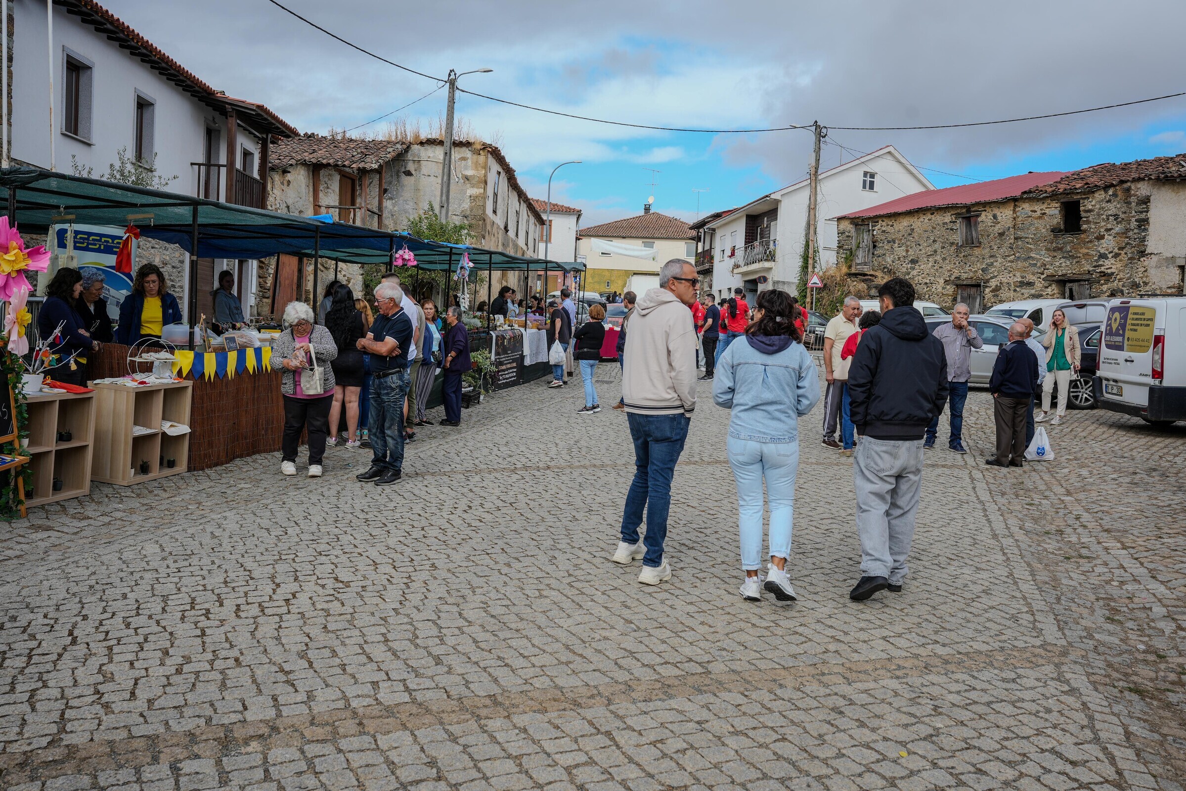 cebolas_18