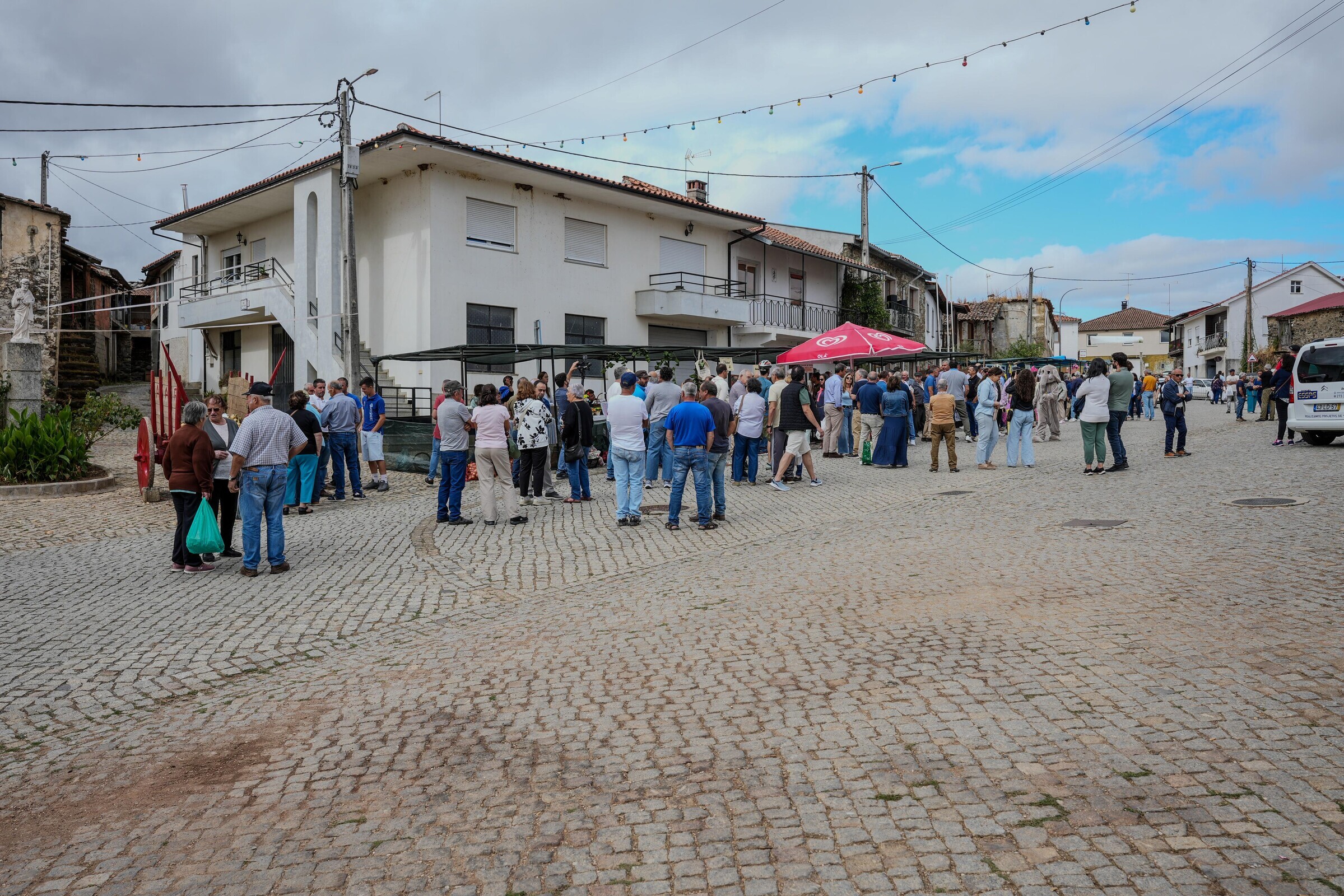 cebolas_20