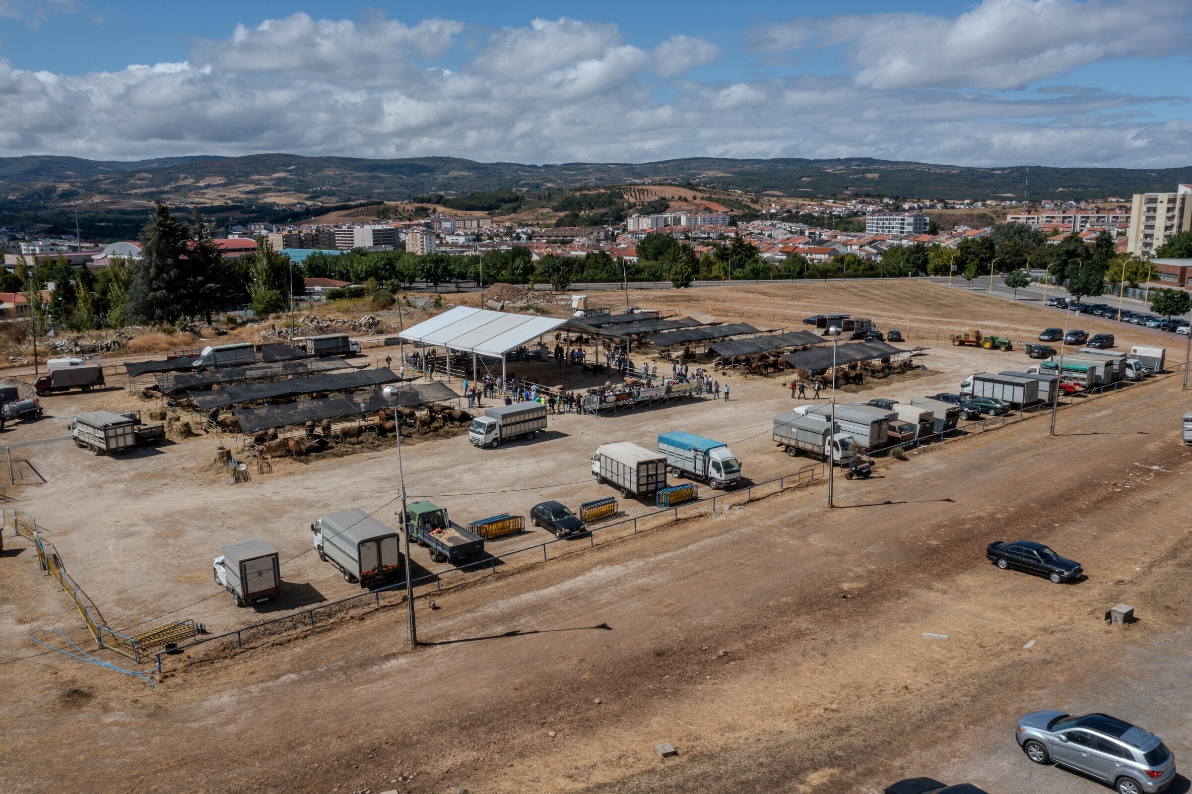 DJI_0572