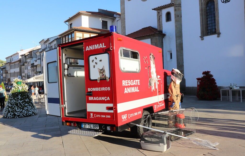 Município de Bragança apoia resgate e tratamento animal