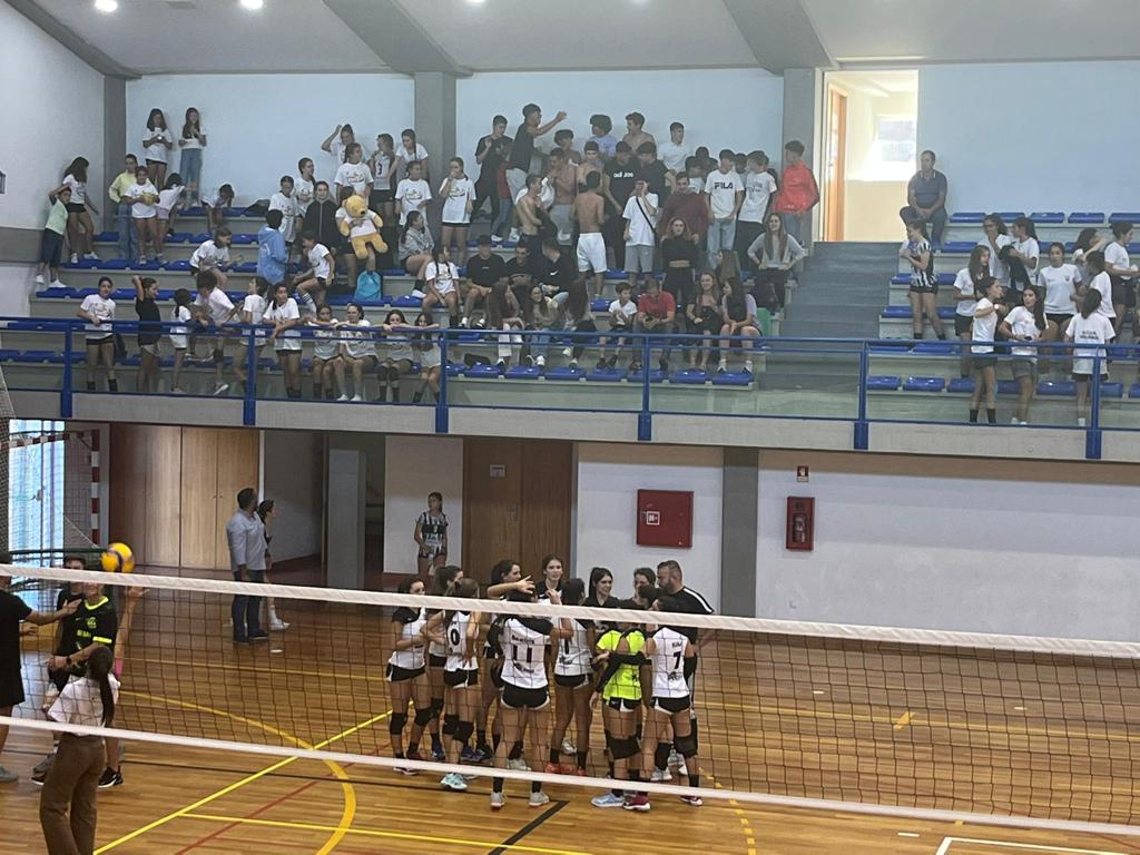 Volei (4)