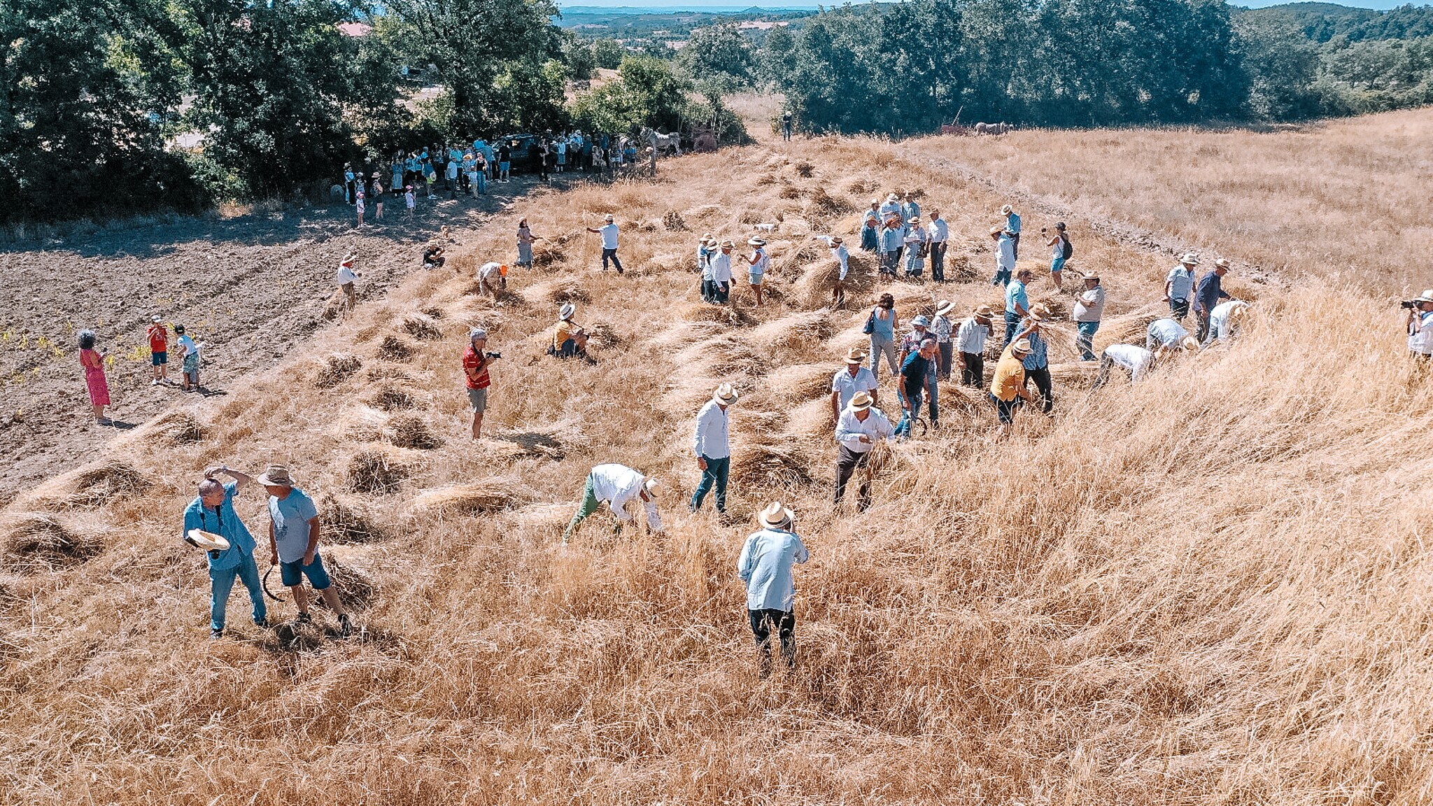 Festival Lombada (5)