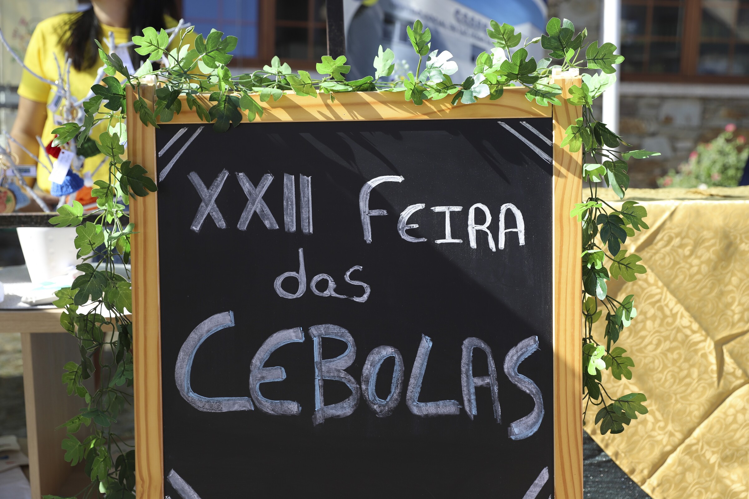 2508 - cebolas _ 0-6