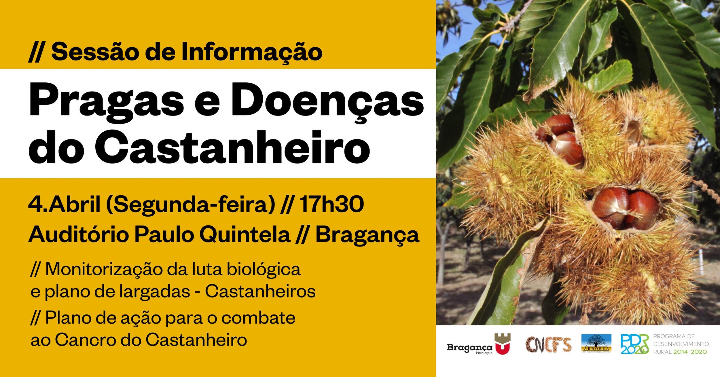 Sessão de Informação - Pragas e Doenças do Castanheiro