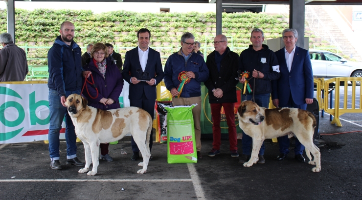 11.ª exposição Monográfica de Cão do Gado Transmontano   