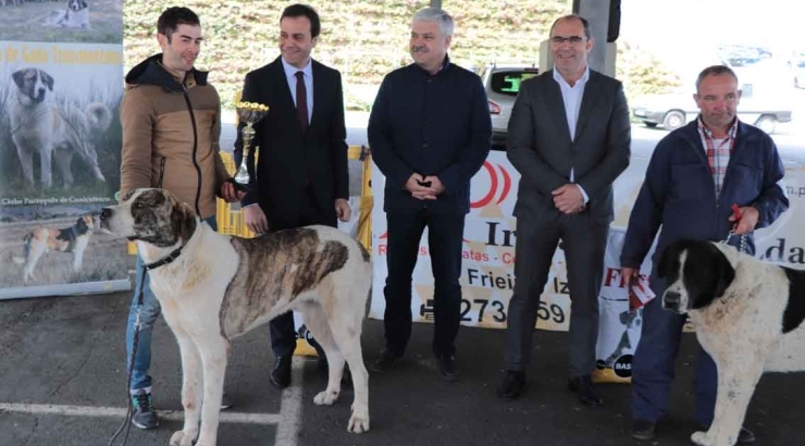 XIII Exposição Monográfica de Cão do Gado Transmontano