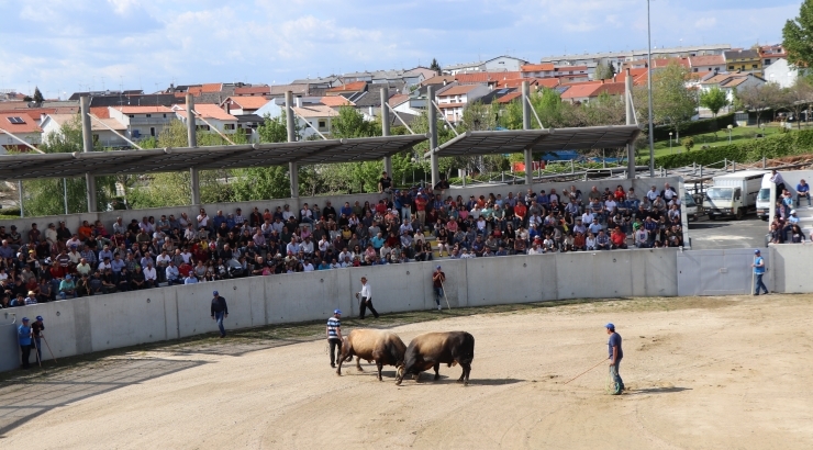 Campeonato Chega de Touros   