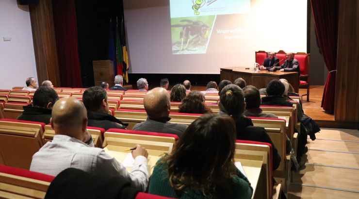 Seminário “Boas Práticas na destruição de ninhos da Vespa Velutina”