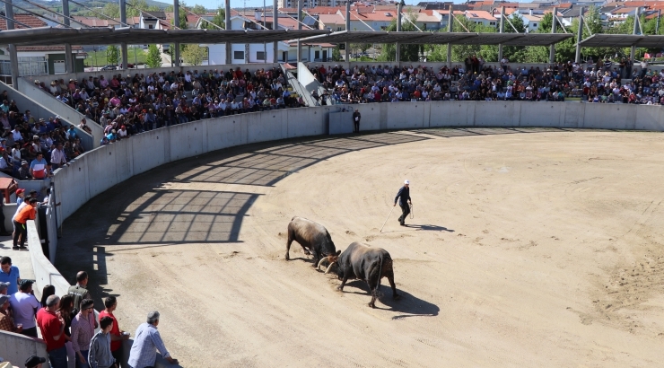 IV Campeonato Chega de Touros