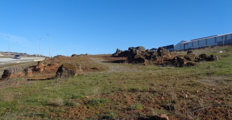 Tojal dos Pereiros será Monumento Natural Local