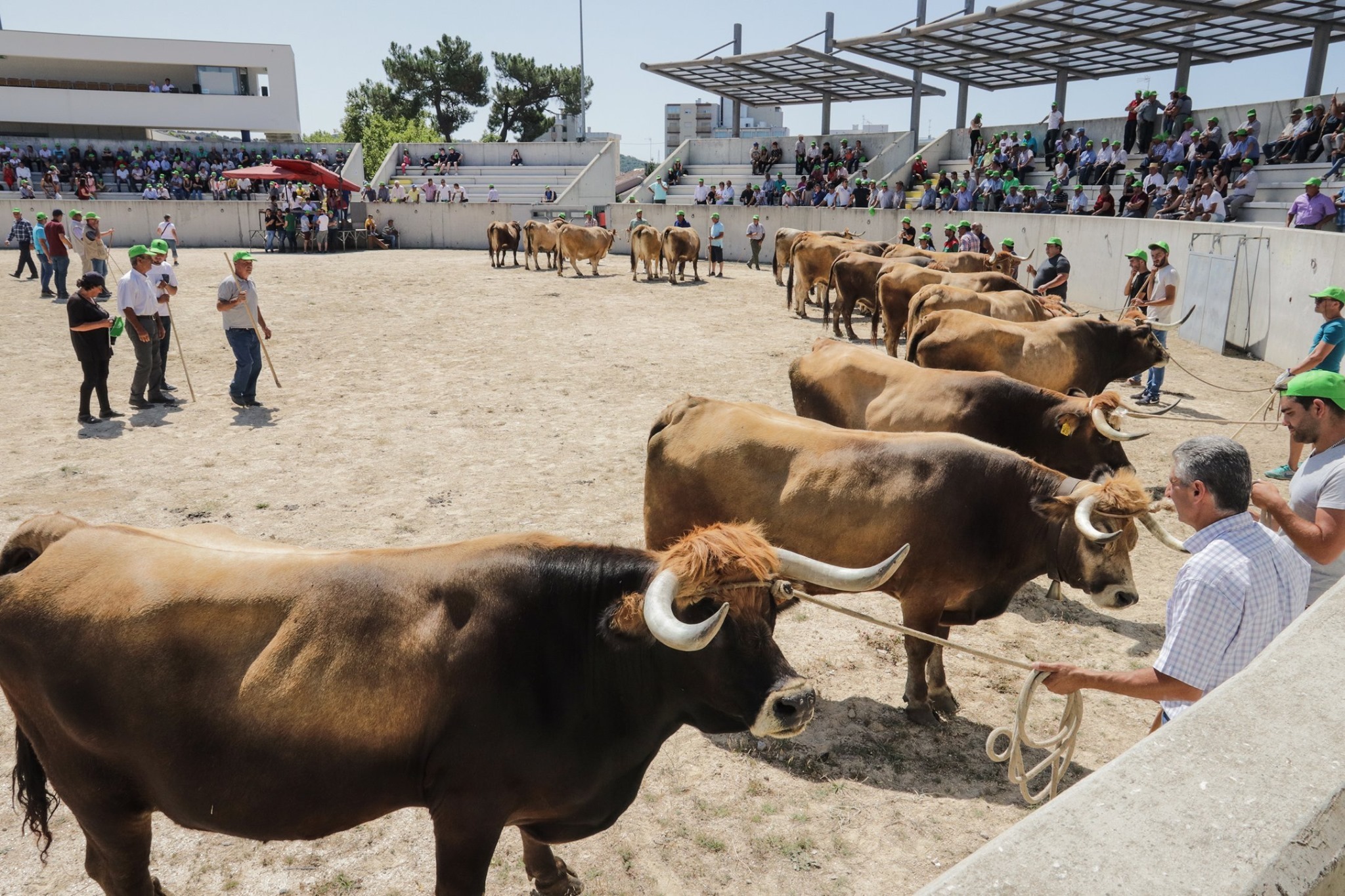 Dia do Lavrador | Festas de Bragança 2019