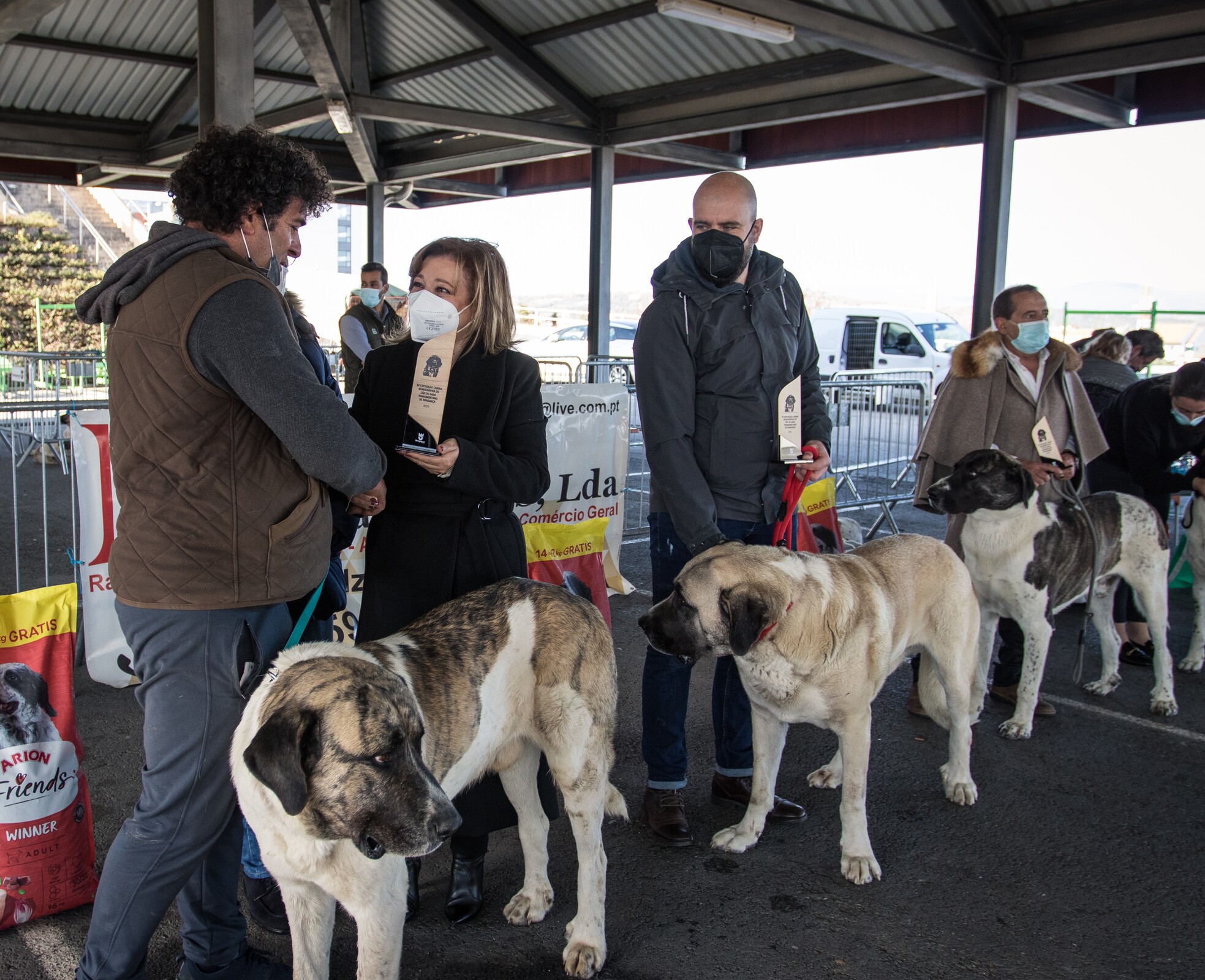 15ª Exposição Canina Monográfica do Cão de Gado Transmontano