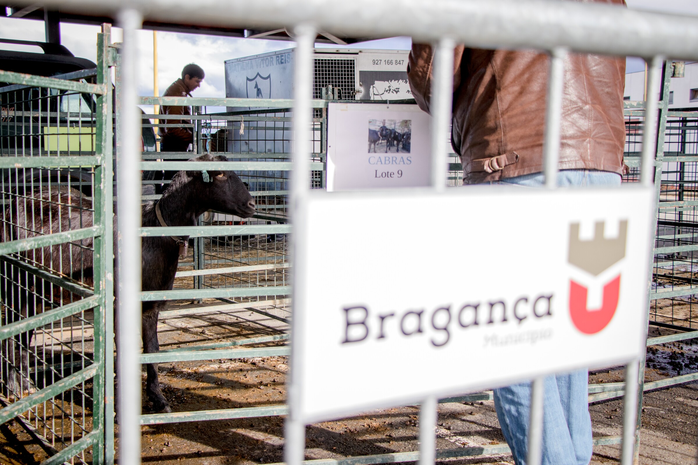 IV Concurso Nacional da Cabra Preta de Montesinho