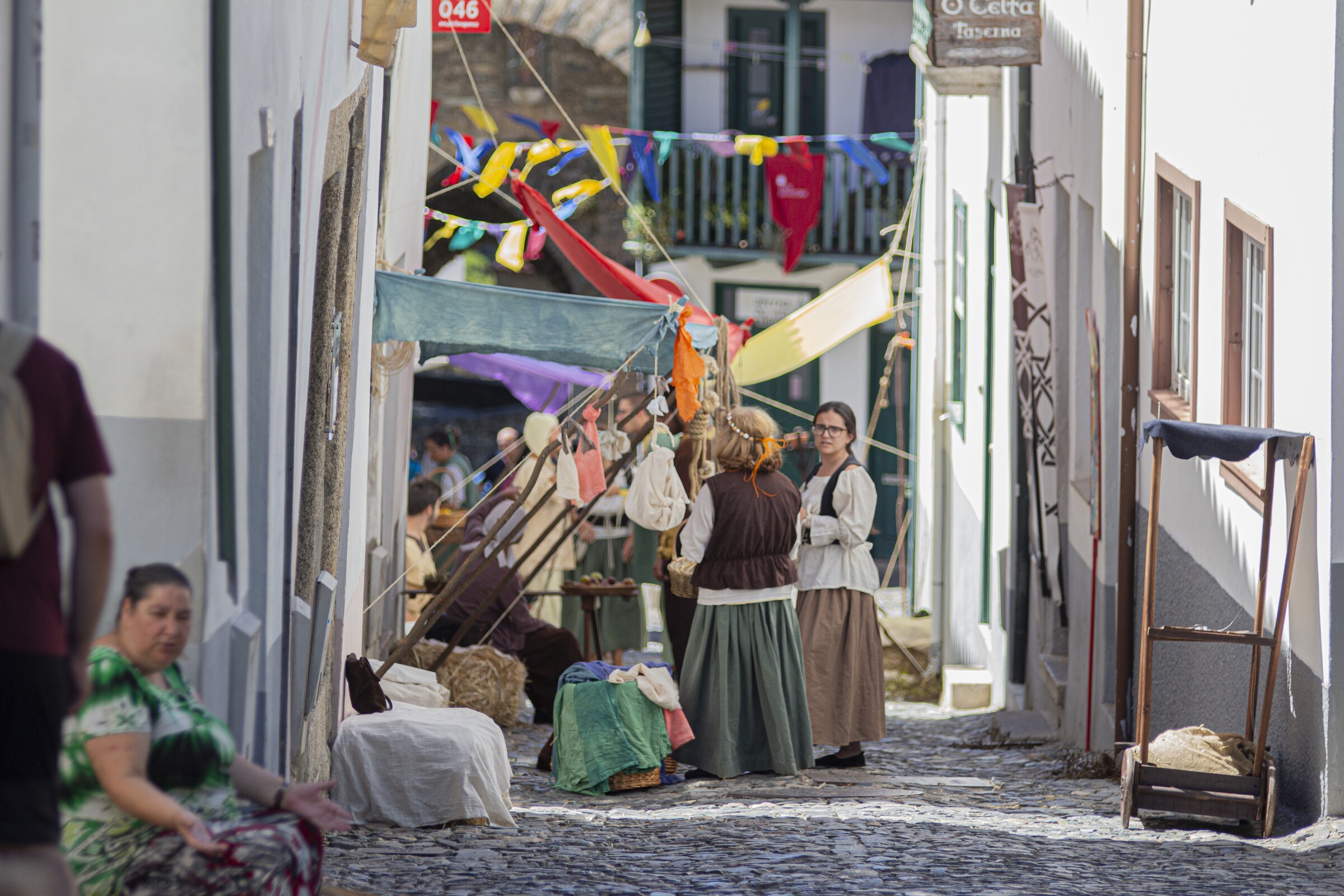 Festa da História - Voluntariado