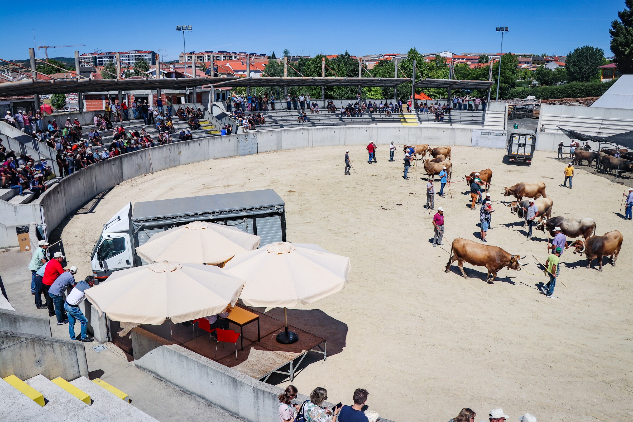 Dia do Lavrador – Festas de Bragança 2022