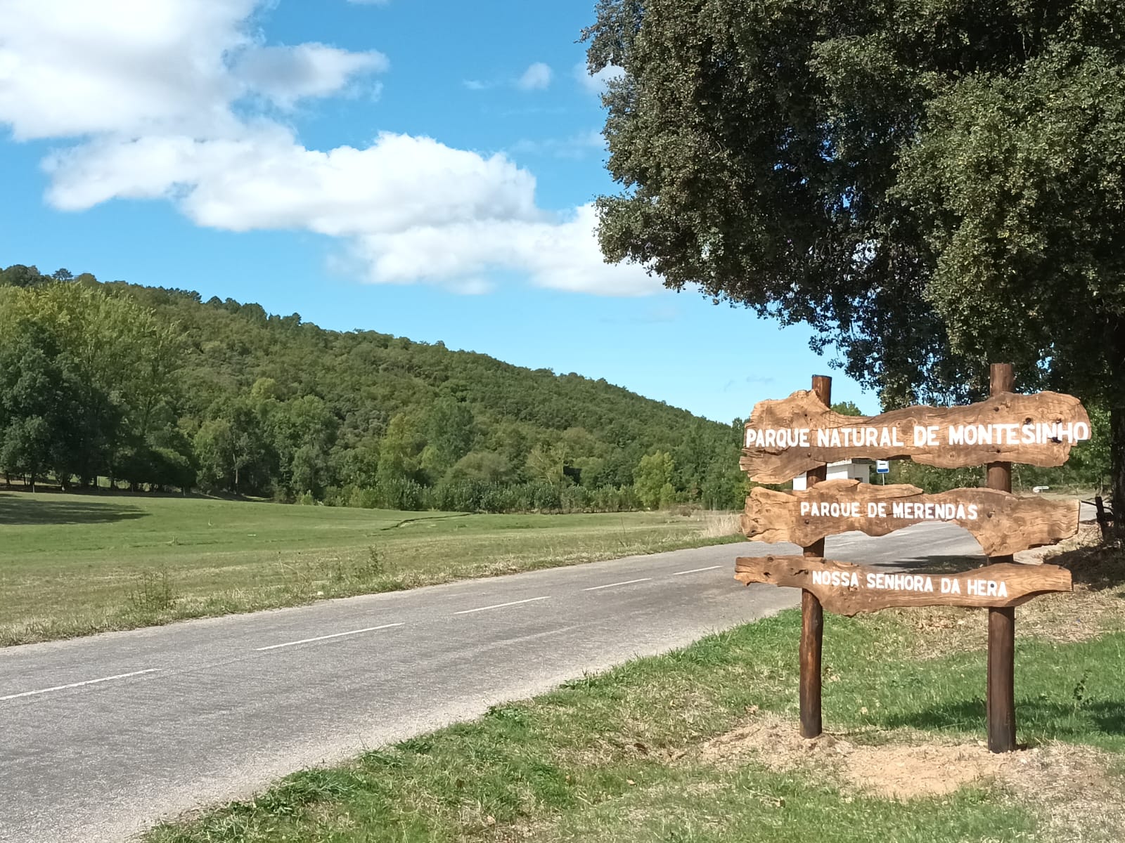 Plano de Cogestão do Parque Natural de Montesinho define 37 ações nos âmbitos da comunicação, pro...