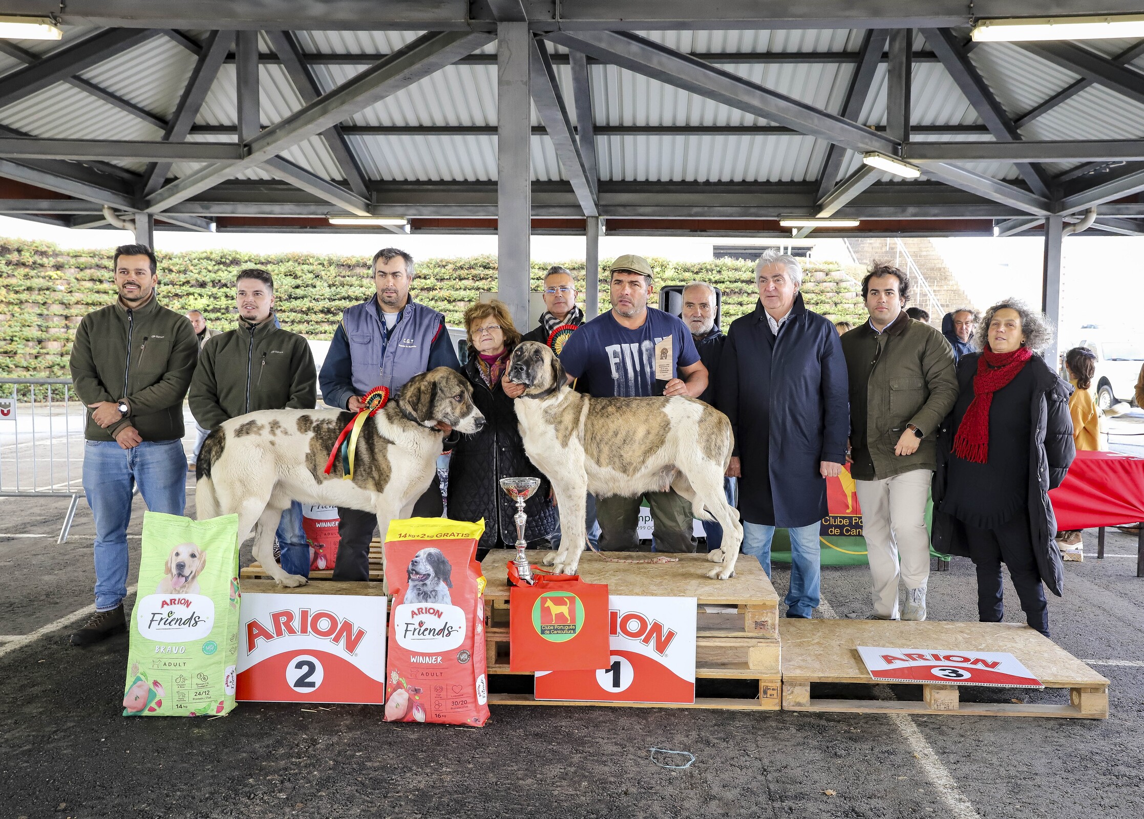 17.ª Exposição Canina Monográfica do Cão de Gado Transmontano