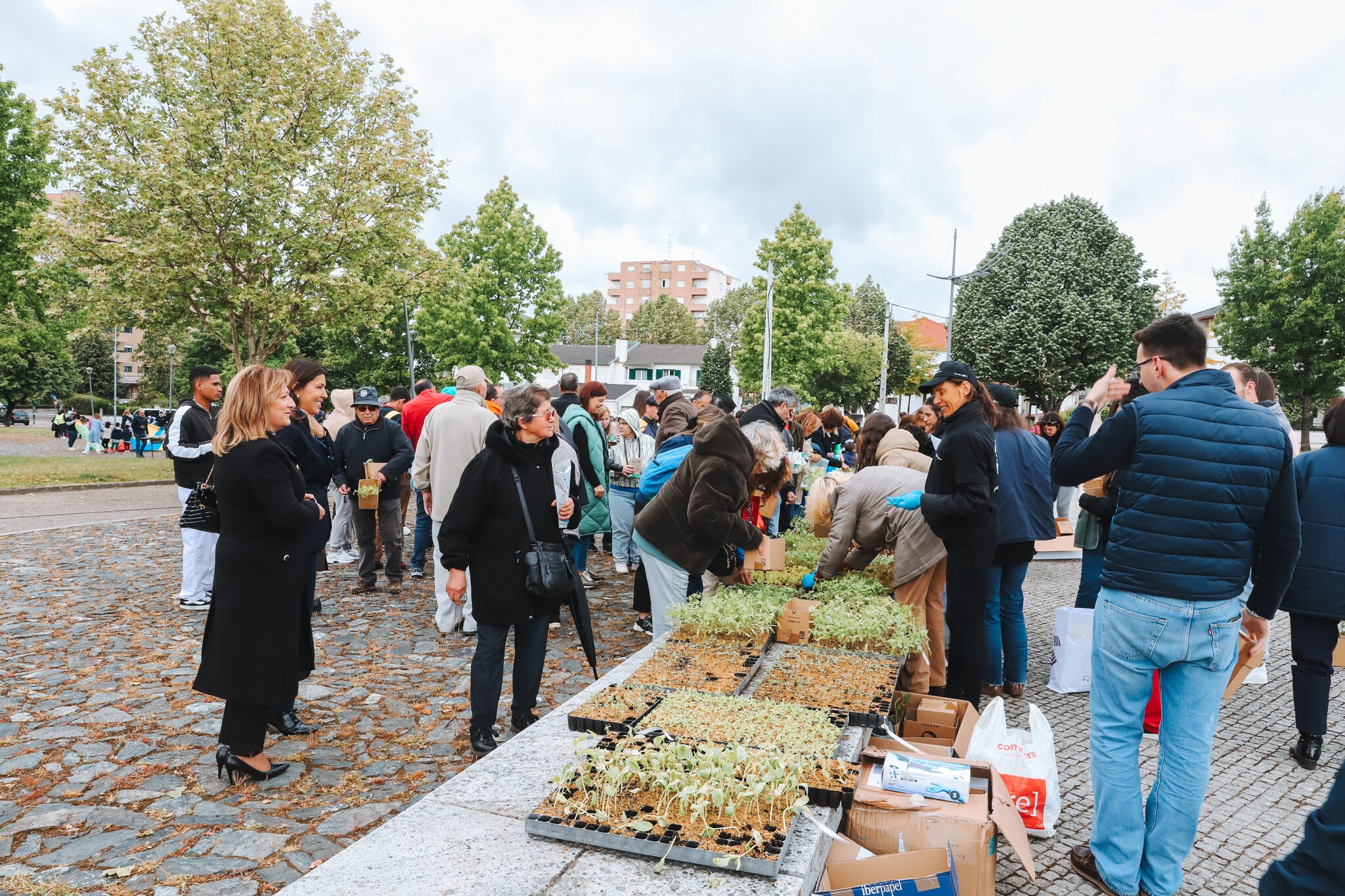 Dia Internacional do Fascínio das Plantas