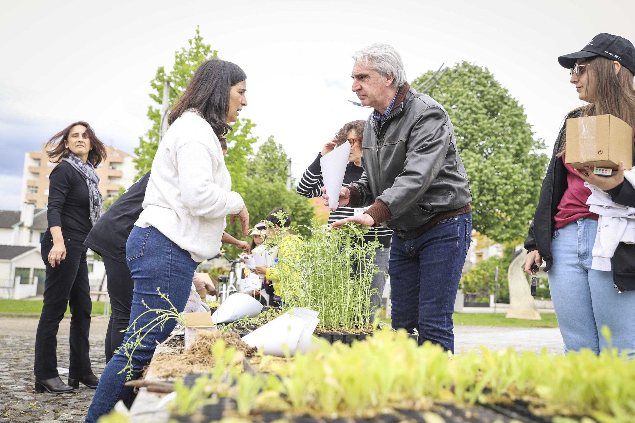 Dia Internacional do Fascínio das Plantas