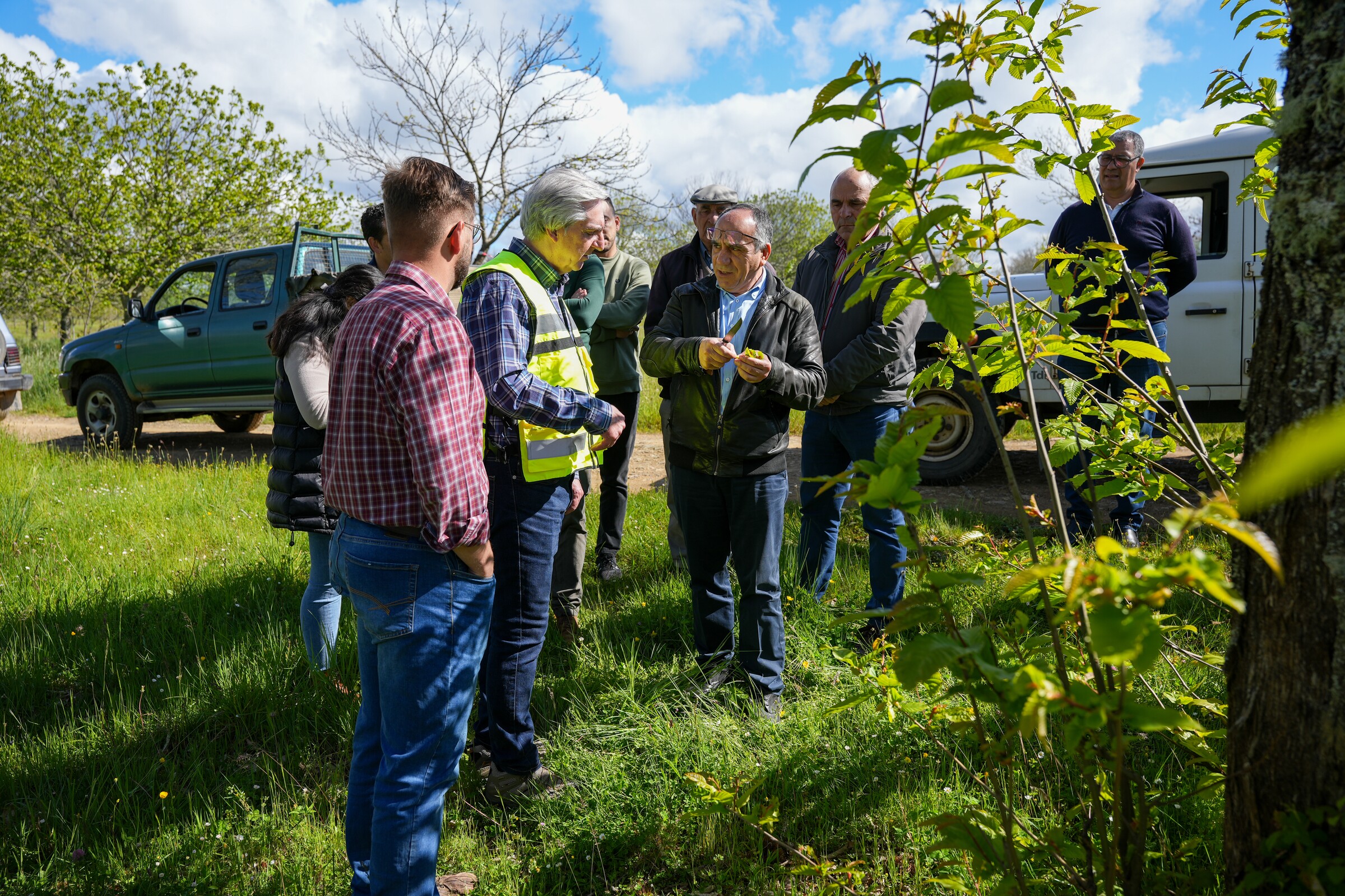 Visita técnica de acompanhamento ao projeto de “Tratamento da Vespa das Galhas do Castanheiro”