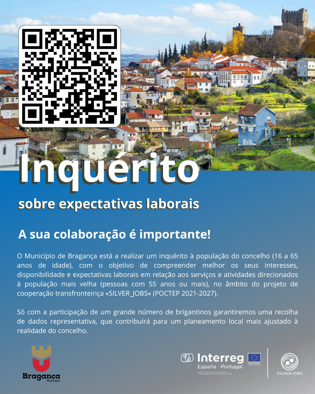 Inquérito - Silverjobs