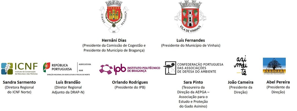 Imagem1