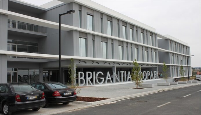 brigantia