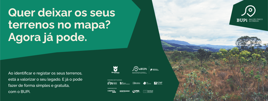 imagem1