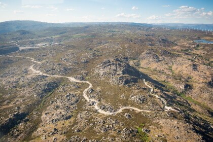 image1b
