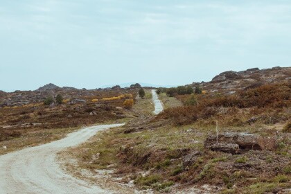 image14b
